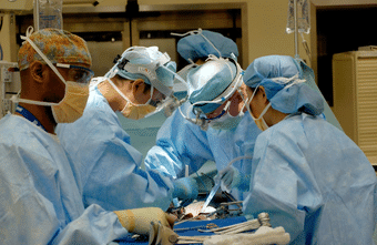 Medical Management of Organ Donors Following Determination of Death by Neurologic Criteria (DNC) 